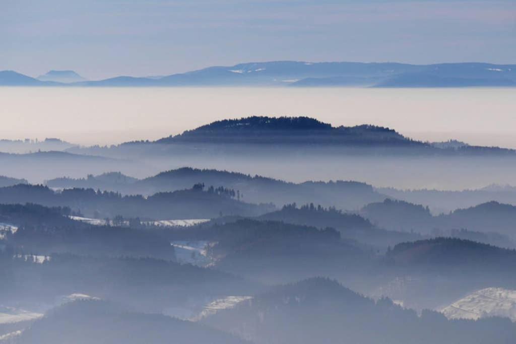Ferienwohnung Schwarzwald Хинтерцартен Экстерьер фото