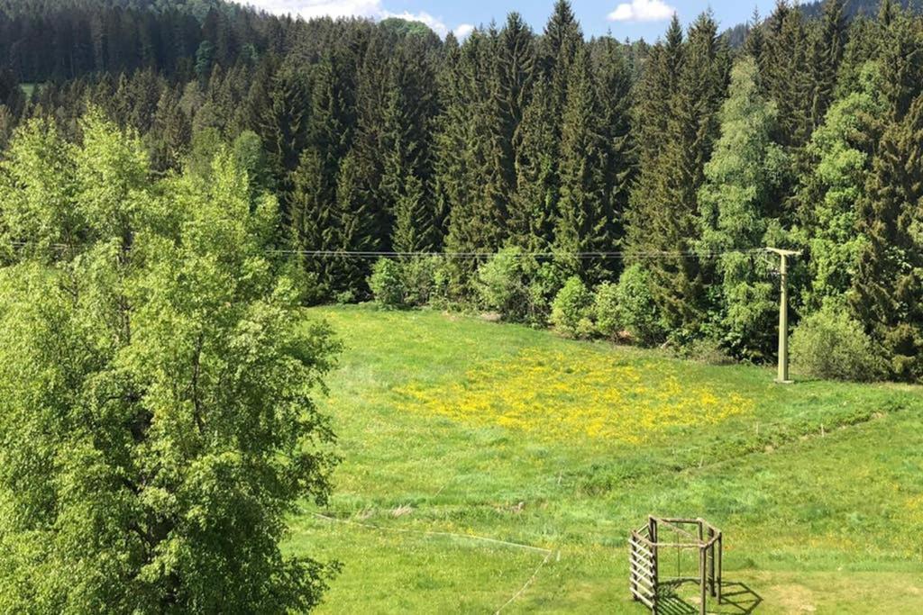 Ferienwohnung Schwarzwald Хинтерцартен Экстерьер фото